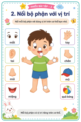 phiếu bài tập nối bộ phận cơ thể với vị trí