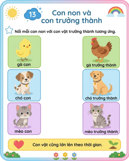 phiếu bài tập nối con non và con trưởng thành