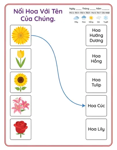 phiếu bài tập nối hoa với tên