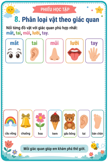 phiếu bài tập phân loại vật theo giác quan cho bé