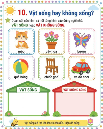 phiếu bài tập phiếu bài tập vật sống hay không sống