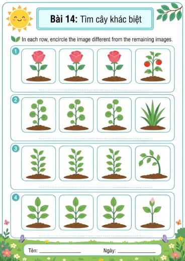 phiếu bài tập tìm cây khác còn lại