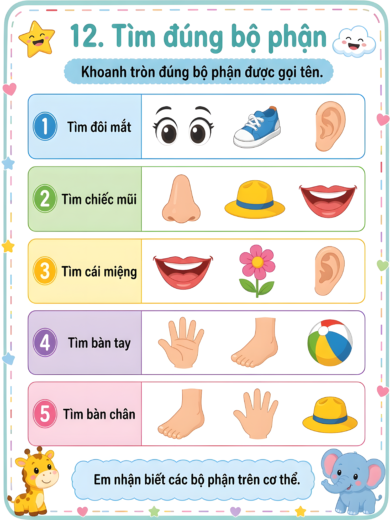 phiếu bài tập tìm đúng bộ phận cơ thể
