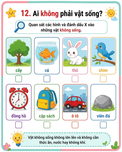 phiếu bài tập tìm vật không phải vật sống