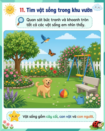 phiếu bài tập tìm vật sống trong khu vườn