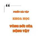 Vòng đời của động vật