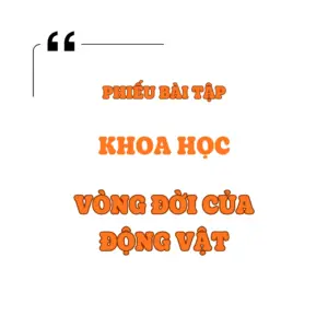 Vòng đời của động vật