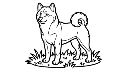 tranh tô màu chó Shiba Inu chất lượng cao