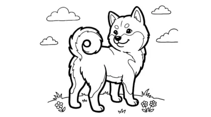 in hình tô màu chó Shiba Inu
